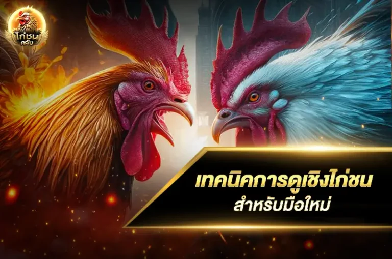 เทคนิคการดูเชิงไก่ชนสำหรับมือใหม่
