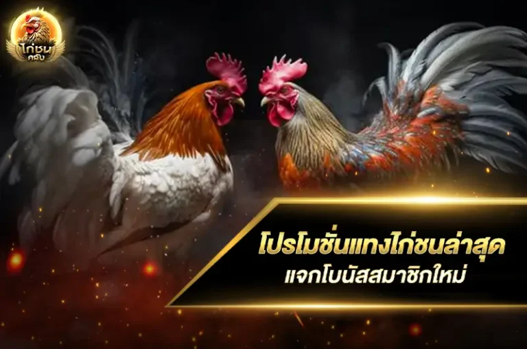 โปรโมชั่นแทงไก่ชนล่าสุด