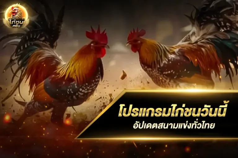 โปรแกรมไก่ชนวันนี้