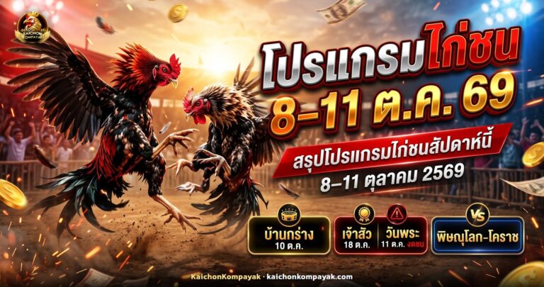 ไก่ชนสองตัวยืนประจันหน้ากลางสังเวียนดินยามเย็น ประกอบบทความโปรแกรมไก่ชน 8–11 ตุลาคม 2569