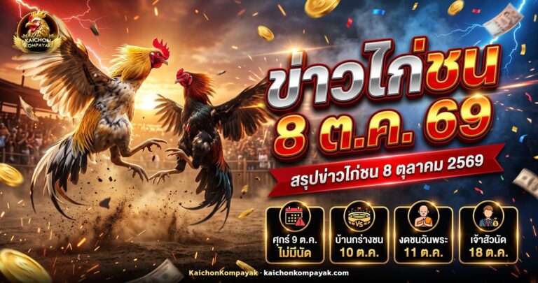 ไก่ชนเหลืองหางขาวยืนในสังเวียนก่อนวันชน ประกอบข่าวไก่ชน 8 ตุลาคม 2569