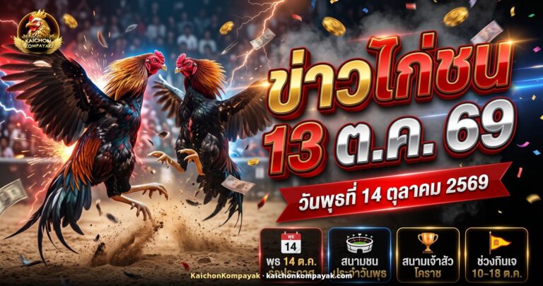 ไก่ชนไทยยืนในสังเวียนก่อนเริ่มนัดชน ประกอบข่าวไก่ชน 13 ตุลาคม 2569