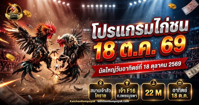 ไก่ชนไทยยืนเผชิญหน้ากลางสังเวียนใหญ่ สนามนานาชาติเจ้าสัว โคราช