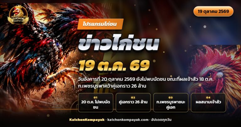 ไก่ชนไทยสองตัวเผชิญหน้ากลางสังเวียน ประกอบข่าวไก่ชน 19 ตุลาคม 2569