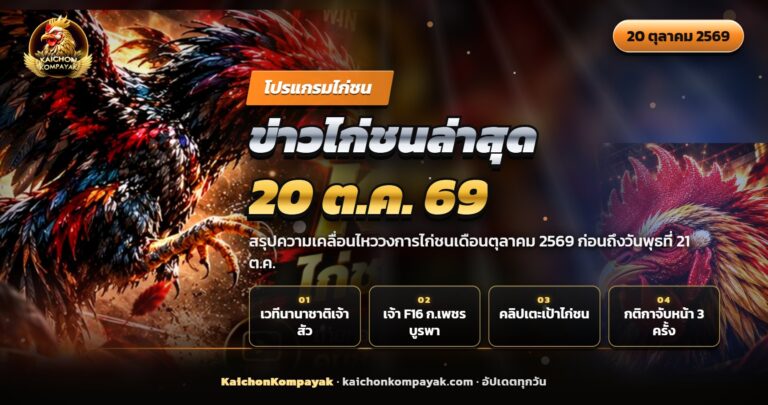 ไก่ชนไทยสองตัวยืนเผชิญหน้าในสังเวียนพร้อมข้อความข่าวไก่ชนล่าสุด 20 ต.ค. 69