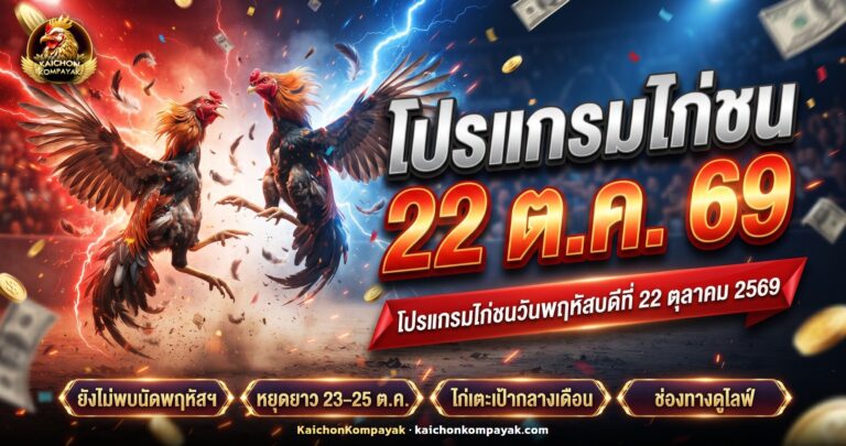 ไก่ชนไทยยืนบนสังเวียนว่างใต้แสงไฟ ประกอบโปรแกรมไก่ชน 22 ตุลาคม 2569