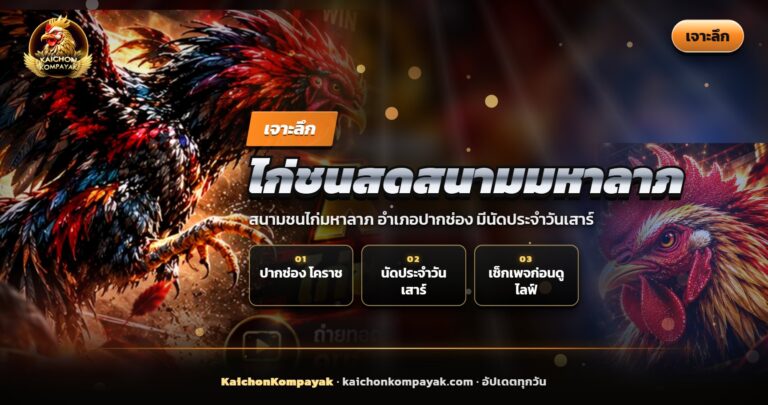 บรรยากาศไก่ชนสดสนามมหาลาภ ปากช่อง วันเสาร์