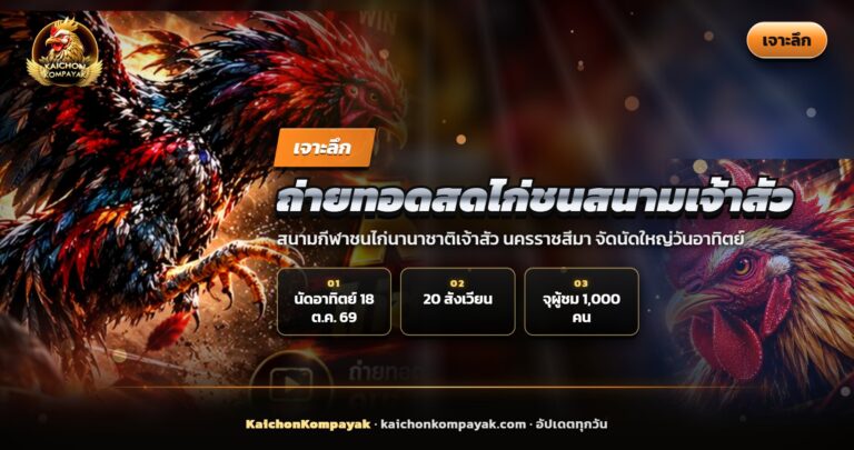 บรรยากาศถ่ายทอดสดไก่ชนสนามเจ้าสัว โคราช