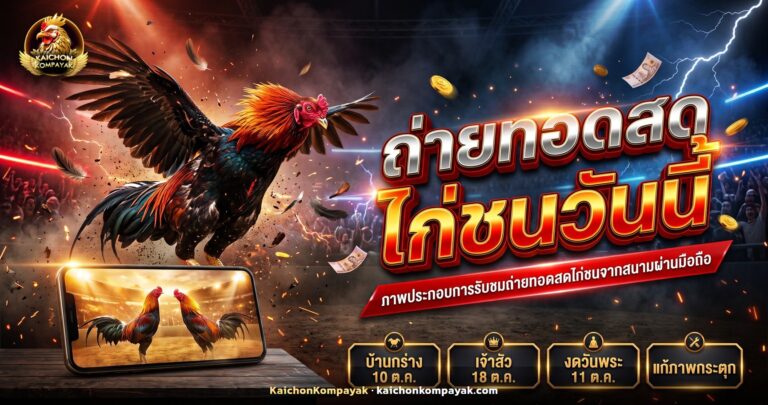 ผู้ชมดูถ่ายทอดสดไก่ชนวันนี้ผ่านสมาร์ตโฟน